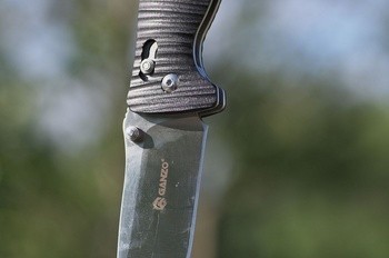 Фото Нож складной Ganzo G720-G зеленый
