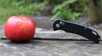 Фото Нож складной Ganzo G7531-BK