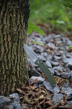 Фото Нож складной Ganzo G7531-GR