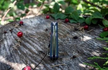 Фото Нож складной Ruike Fang P105-K